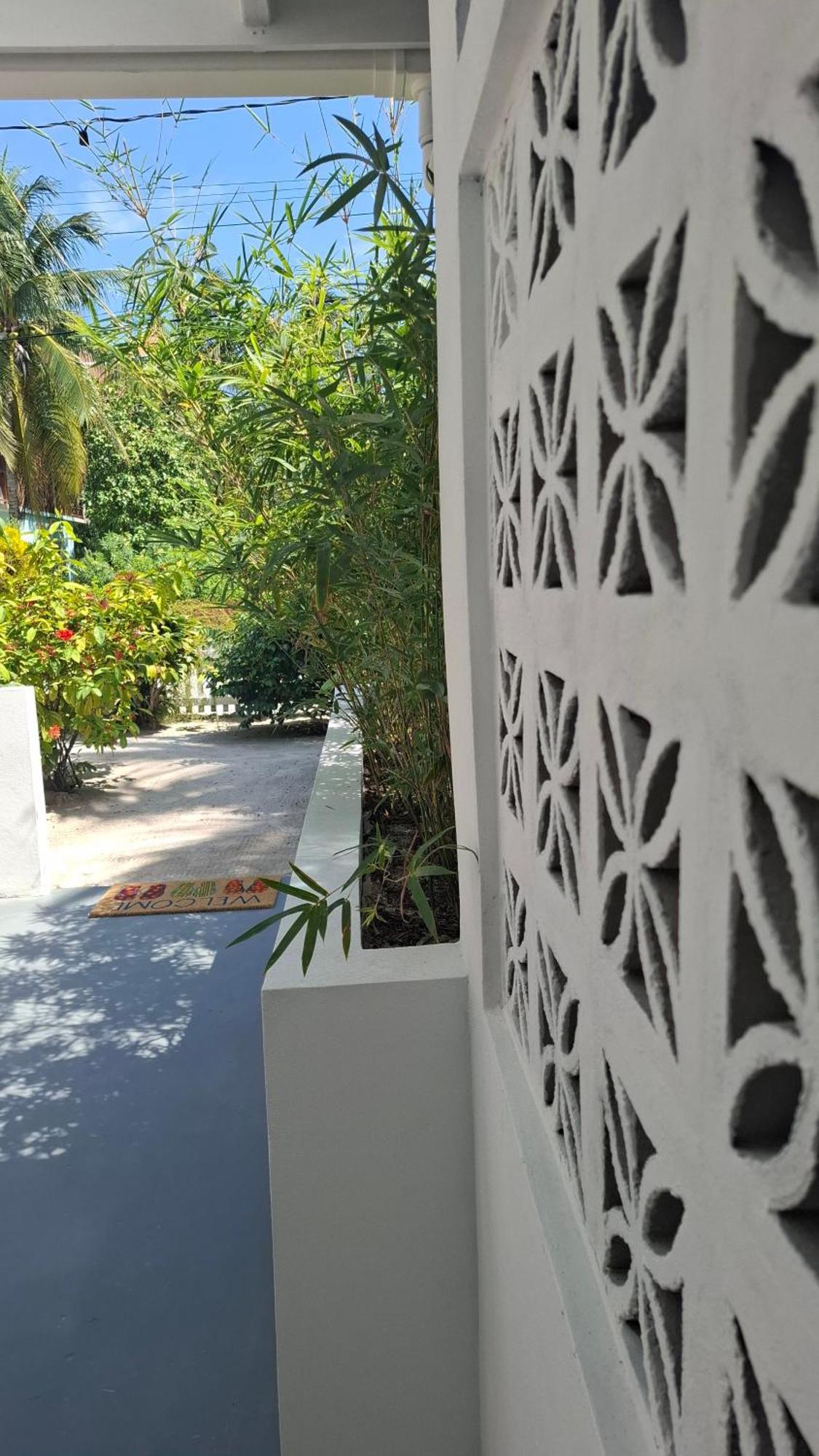 Amanda'S Place Green Studio - Pool And Tropical Garden Caye Caulker Εξωτερικό φωτογραφία