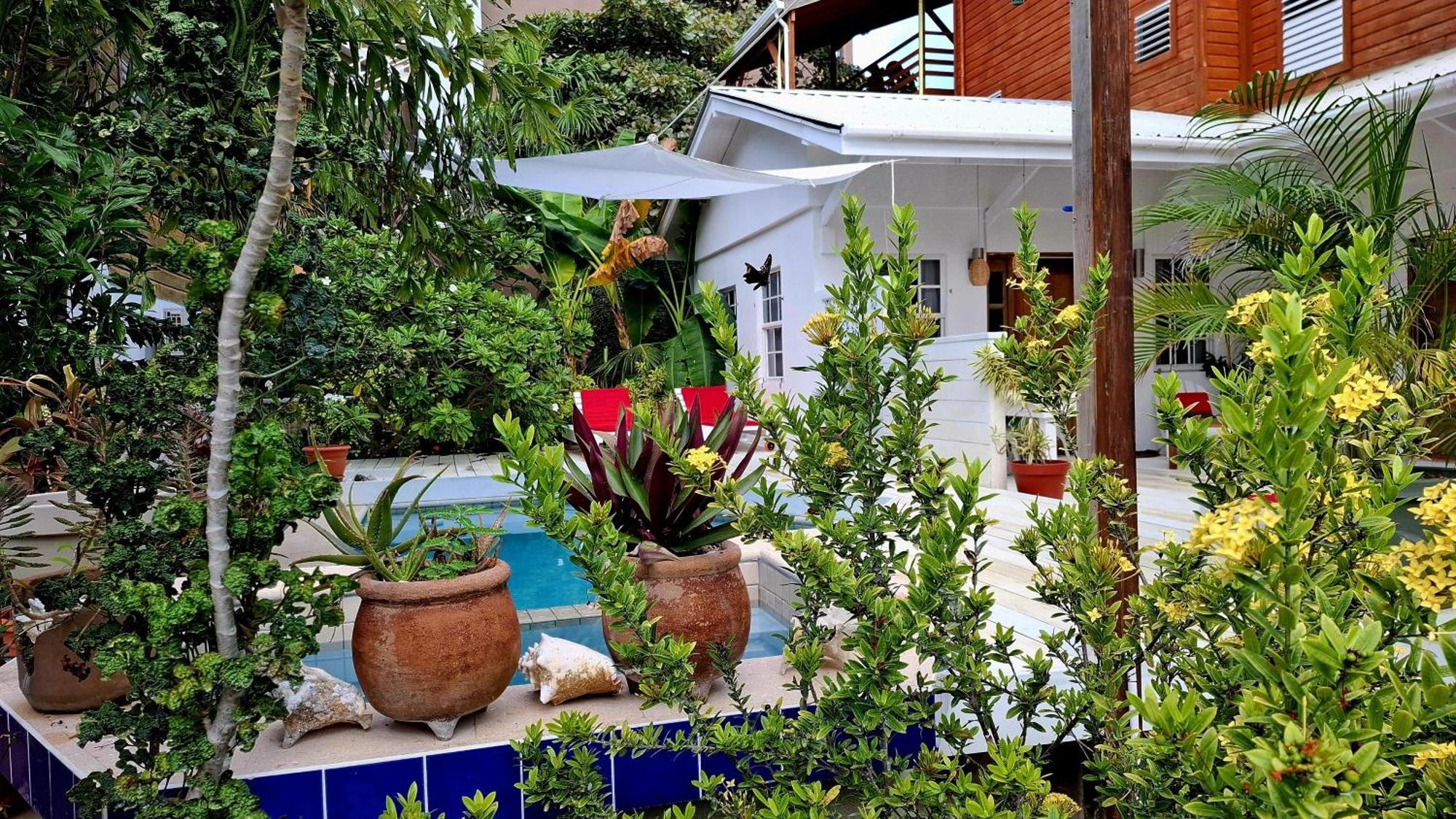 Amanda'S Place Green Studio - Pool And Tropical Garden Caye Caulker Εξωτερικό φωτογραφία